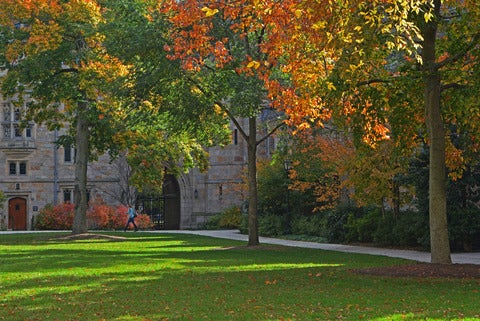 Branford College in the fall.