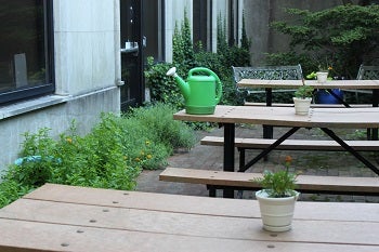 Enjoy the picnic tables and benches surrounded by fresh herbs and flowers in the HR Garden.