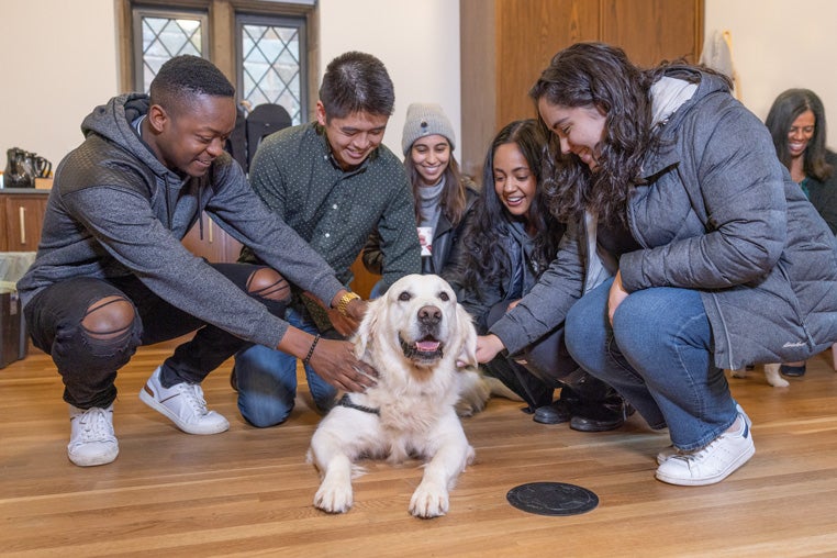 group of people petting a dog laying on the ground