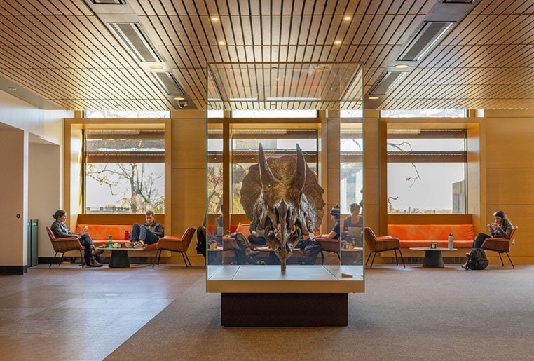 The Marsh Lecture Hall lobby in the Yale Science Building.