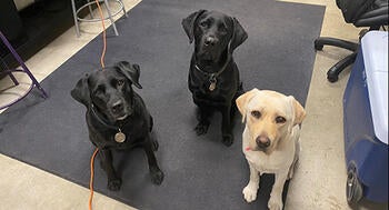 Whitney (left) hanging out with Blue and Heidi at the Yale Police Department.
