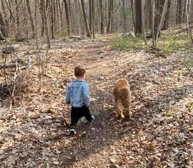 Young boy and a dog walking in the woods