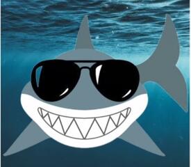 HR Employee relations retreat - Shark Tank Recap