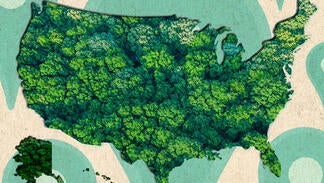 Ilustration of the United States map.